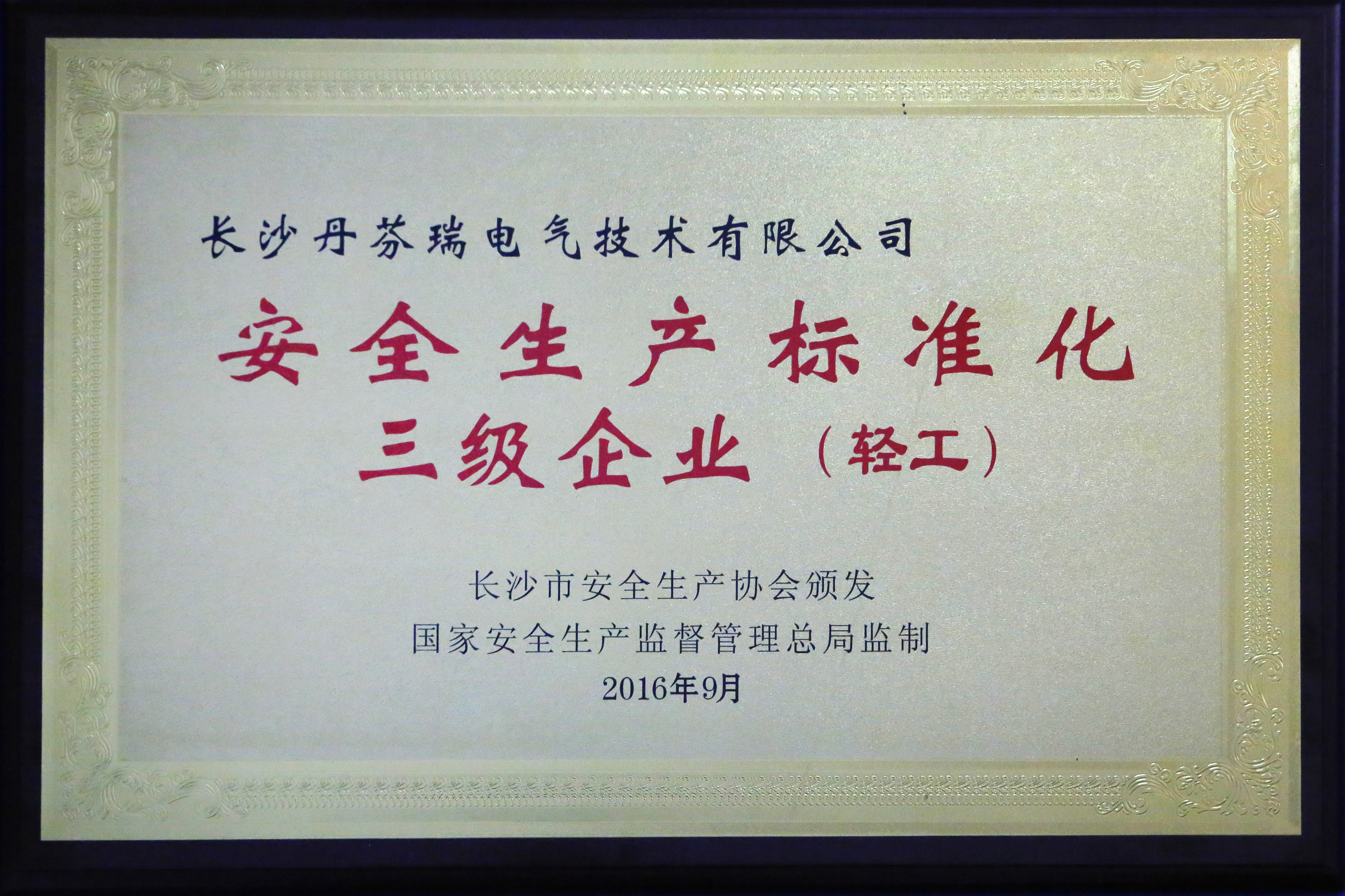 安全生產標準化三級企業(yè)