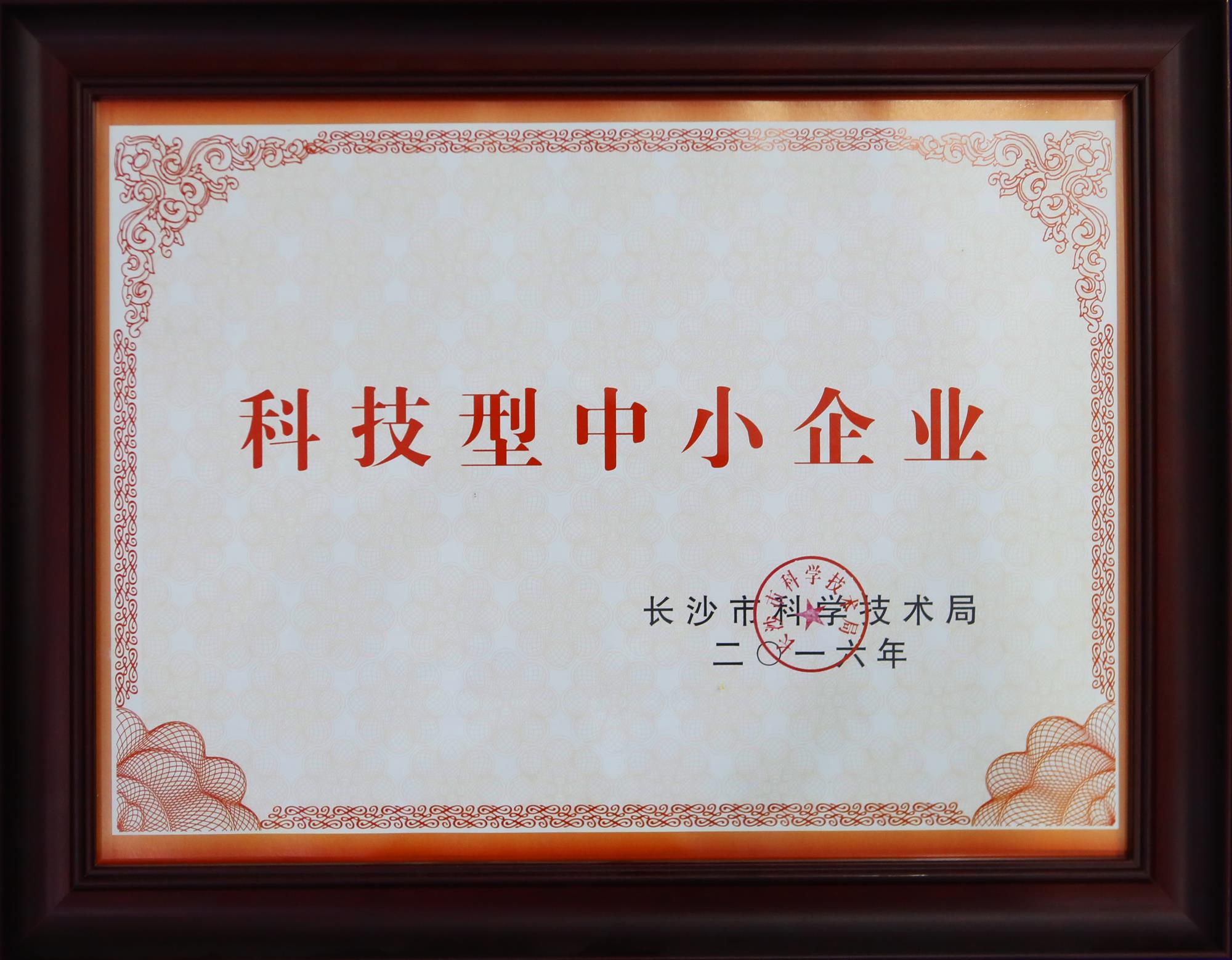 科技型中小企業(yè)